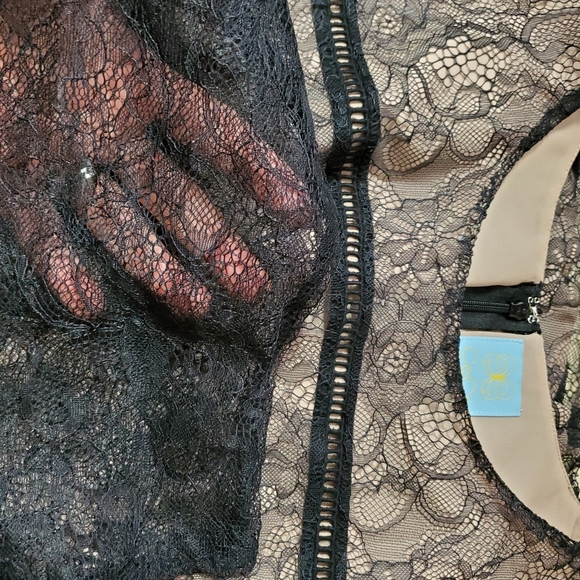 NWT CeCe Lace Overlay Dress 12 PETITE - Picture 6 of 7